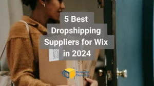 best dropshipping suppliers for wix